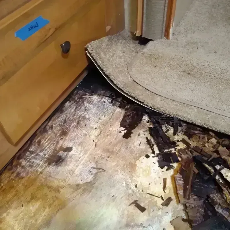 Best Wood Floor Water Damage Service in LaBelle, FL